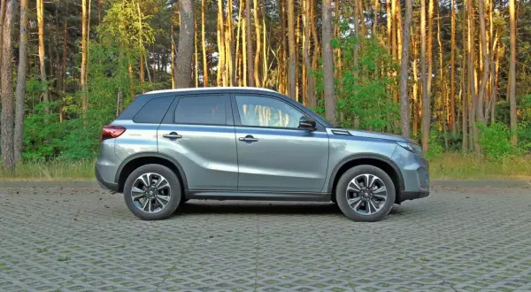 Szary Suzuki Vitara 2023 zaparkowany na tle sosnowego lasu.