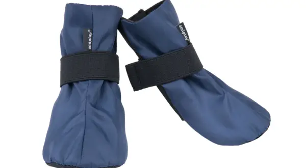 Uszyj buty dla psa: Kompleksowy poradnik DIY. Bezpieczne łapy!