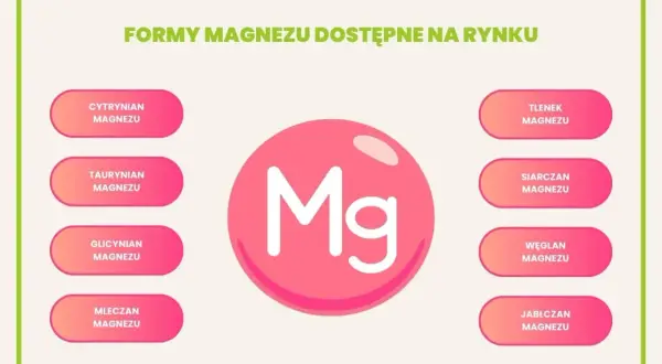 Cytrynian magnezu na co pomaga? Grafika przedstawia różne formy magnezu dostępne na rynku, w tym cytrynian magnezu.