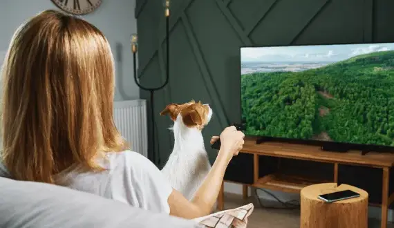 Czy Twój TV ma Bluetooth? Odkryj proste sposoby weryfikacji!