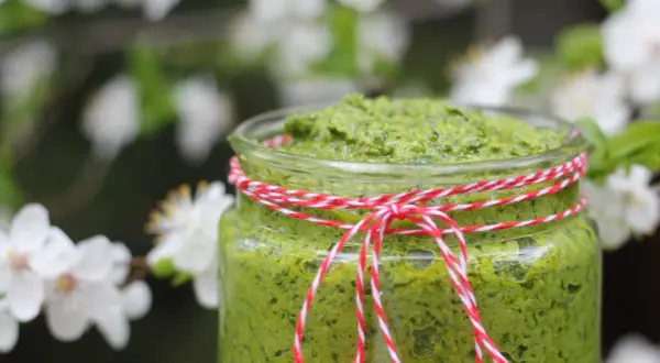 Słoik zielonego pesto z czosnku niedźwiedziego, przewiązany sznurkiem, na tle kwitnących drzew.