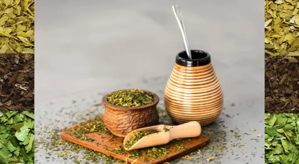 Naczynie do yerba mate, drewniana łopatka z suszem i bombilla. Ile herbat dziennie? To zależy od Ciebie!