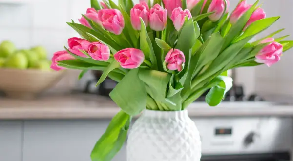 Piękne, różowe tulipany w białym wazonie. Poznaj proste triki, jak utrzymać tulipany w wazonie dłużej świeże.