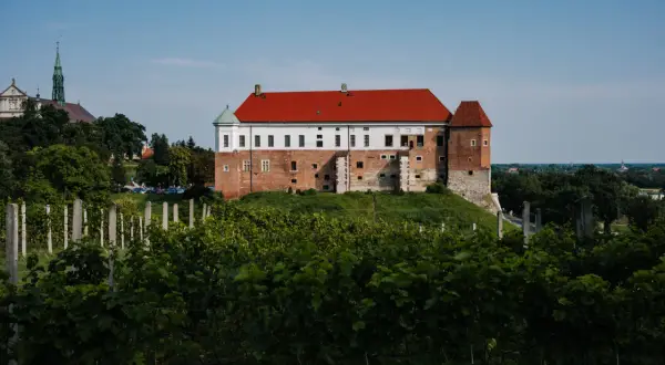 Co zjeść w Sandomierzu? Najlepsze potrawy i miejsca do spróbowania