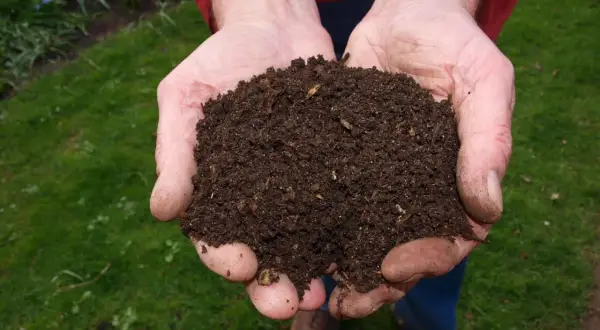 Manos sostienen tierra fértil, resultado de una compostera casera. El abono oscuro y rico promete nutrir el jardín.