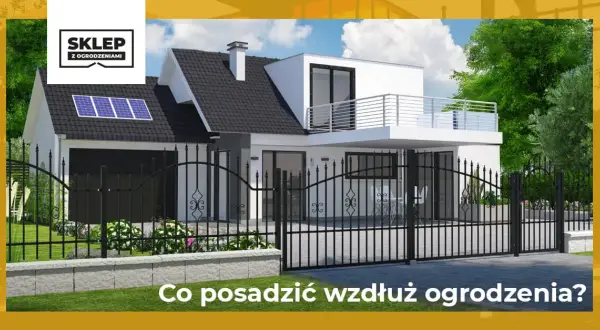 Co posadzić wzdłuż ogrodzenia, by stworzyć piękny i gęsty żywopłot