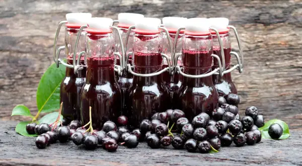 Aronia-Saft in Bügelverschlussflaschen, frisch geerntete Aroniabeeren daneben. So lassen sich Aroniabeeren verarbeiten.