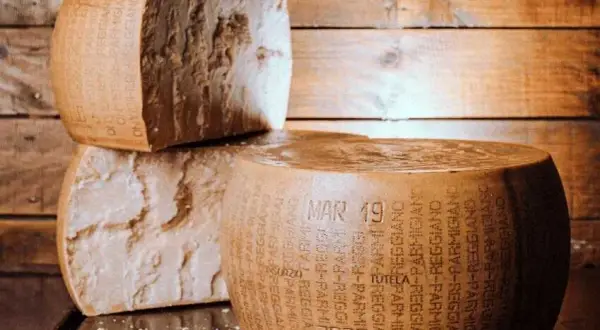 Skąd pochodzi ser parmezan? Odkryj jego fascynującą historię i regiony