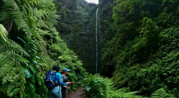 Dwie turystki podziwiają wodospad na szlaku Levada do Caldeirão Verde, otoczone bujną zielenią paproci.