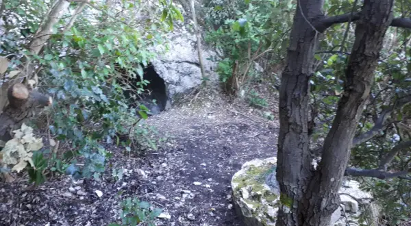 Sentiero che conduce alla grotta del mortarolo, tra vegetazione e rocce.