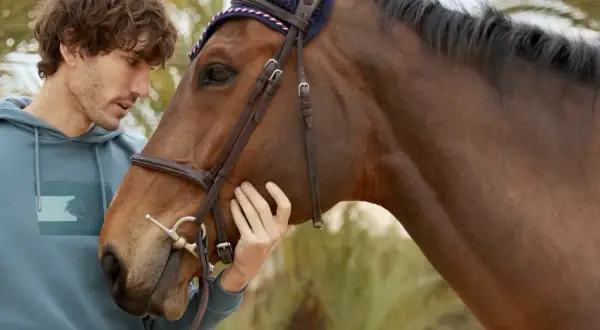 Tommy Hilfiger Equestrian: Styl, Funkcja, Gdzie Kupić w PL?