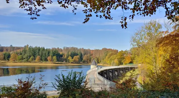 Herbstlicher Spaziergang auf dem panzertalsperre rundweg. Bunte Blätter und ein klarer Himmel über dem Stausee.