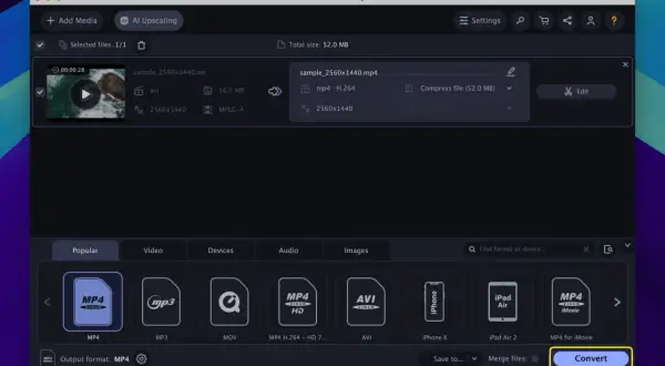 Movavi Video Converter shows how to convert AVI to MP4. The AVI file is listed, and MP4 is selected as the output format.