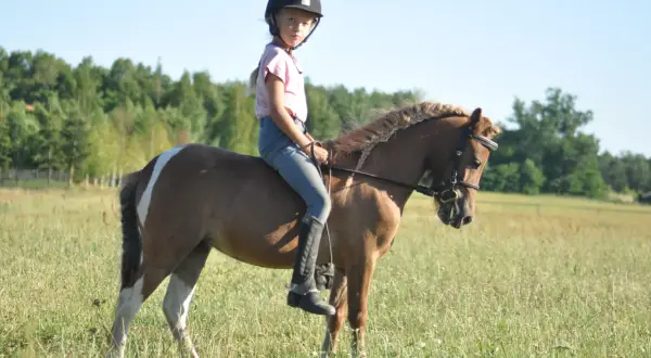 Stajnie koni w Piła - najlepsze miejsca na naukę jazdy konnej