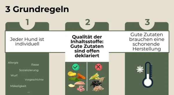 Drei Regeln für die ideale Zusammensetzung von Hundefutter: Individuelle Bedürfnisse, offene Deklaration guter Zutaten und schonende Herstellung.