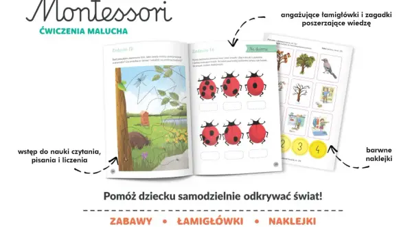 Ćwiczenia operacji myślowych dla maluchów: śledzenie linii, rysowanie kropek biedronkom i dopasowywanie obrazków.