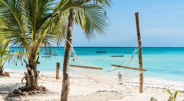 Lot na Zanzibar: Od 8 do 20h? Planuj podróż bez stresu!