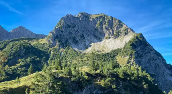 Sonnenbeschienene Hänge und felsige Gipfel prägen die Landschaft bei einer rubihorn wanderung. Grüne Nadelbäume und Almwiesen unter blauem Himmel.