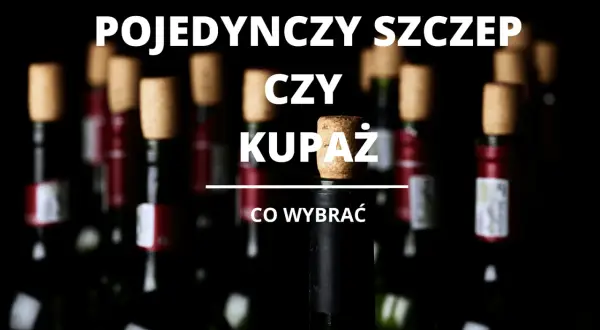 Winnice oferują wybór między winem z pojedynczej odmiany a kupażem. Co wybrać?