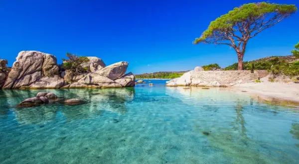 Klares, türkises Wasser an einem Strand mit Felsen und einem Baum. Ein Ort, wo es Ende Oktober noch warm ist.