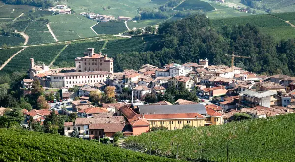 Colline verdi delle Langhe, con vigneti rigogliosi che circondano un borgo dominato da un castello. L'atmosfera evoca la produzione del pregiato Barolo.
