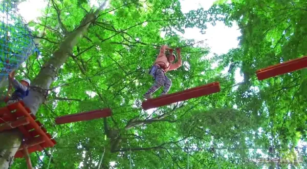 Park Linowy Władysławowo Cennik: Od 30 zł! Jak zaoszczędzić?
