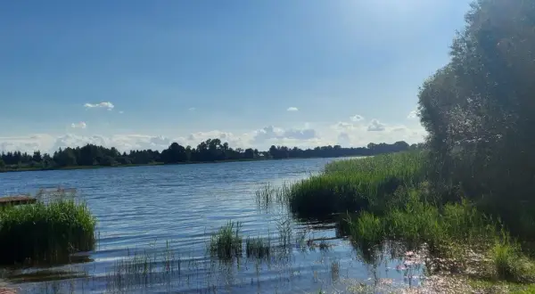 Chłopiec z podbierakiem na pomoście nad jeziorem Marianowo. Słoneczny dzień, błękitne niebo z chmurkami.