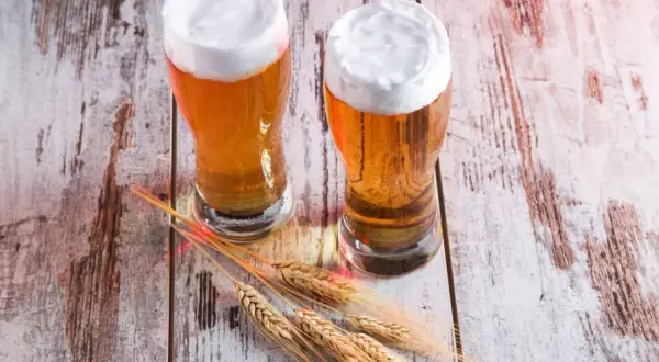 Dwa kufle złocistego piwa, przypominającego red ale, z obfitą pianką, stoją na drewnianym blacie obok kłosów zboża.