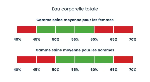 Barres illustrant le pourcentage d'eau dans le corps : une gamme saine pour les femmes (45-60%) et pour les hommes (40-65%).