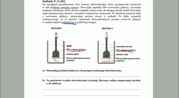Zjawisko osmozy: Jak działa i dlaczego jest kluczowe w biologii?