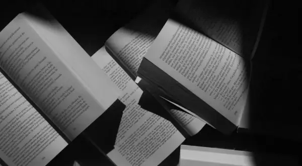 Co to jest literatura piękna – definicja, cechy i przykłady dzieł