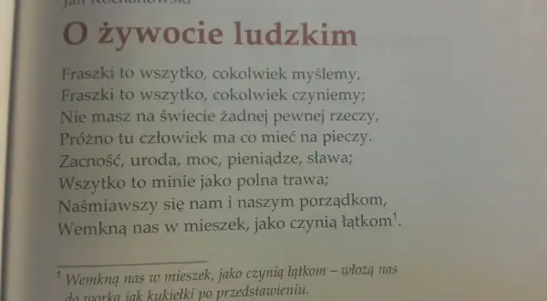 Jan Kochanowski pisze, że życie to fraszka. Wszystko przemija, jak trawa polna, a nas włożą do worka.