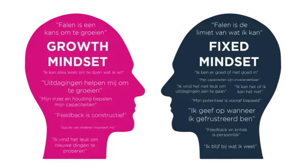 Twee profielen, één met 'Growth Mindset' en positieve quotes, de ander met 'Fixed Mindset' en beperkende overtuigingen.