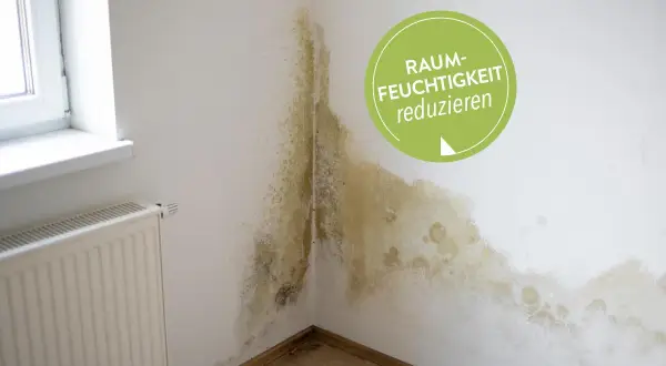 Schimmel an der Wand deutet auf 70 prozent luftfeuchtigkeit in der wohnung hin. Ein grüner Kreis fordert: "Raumfeuchtigkeit reduzieren".