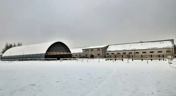 Stadnina koni Hestia w Radomiu - najlepsze miejsce na jazdę konną