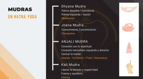 Kali Mudra: libera tensión y negatividad, promoviendo fuerza y equilibrio. Un mudra para calmar la ansiedad en Hatha Yoga.