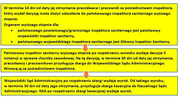 Jak wypełnić wniosek o chorobę zawodową i uniknąć błędów?