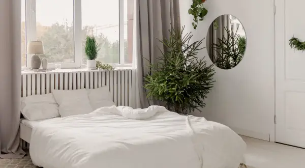 Biała sypialnia inspiracje: przytulne łóżko z pościelą, choinka, rośliny i lustro tworzą spokojną atmosferę.
