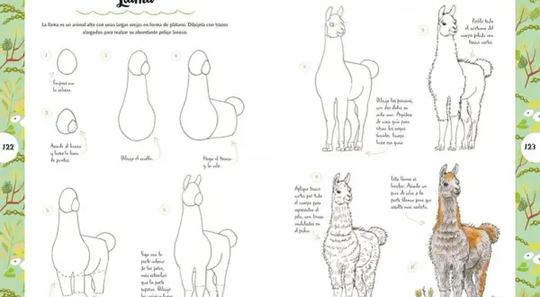 Instrucciones paso a paso para dibujar llamas, ideales como animales para dibujar fáciles.