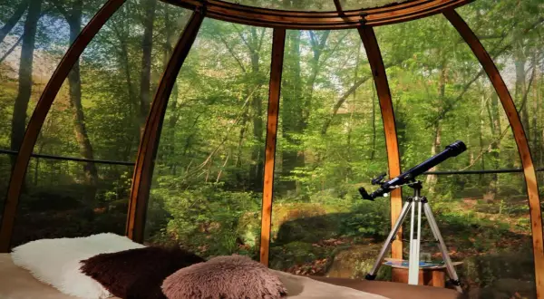 Un télescope prêt pour observer les étoiles depuis ce logement insolite grand est, niché au cœur d'une forêt luxuriante.