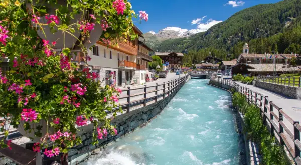 Fiori rosa adornano un vaso, affacciandosi su un torrente azzurro che attraversa i pittoreschi paesi del Val d'Ayas, con montagne innevate sullo sfondo.