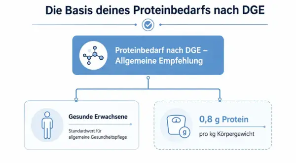 Empfehlung der DGE: 0,8 g Protein pro kg Körpergewicht für gesunde Erwachsene.