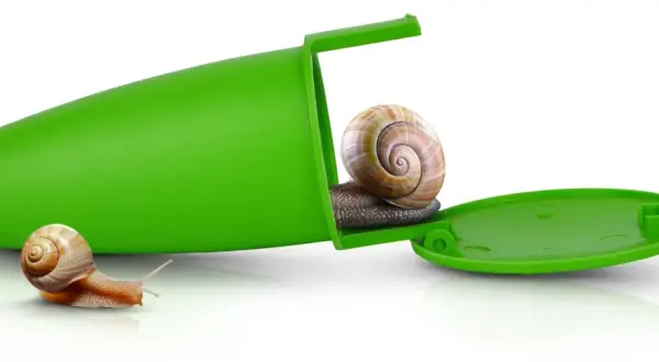 Zielona pułapka na ślimaki z dwoma ślimakami. Jeden ślimak wychodzi z pułapki, drugi czeka na zewnątrz.