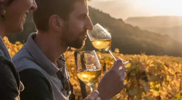 Un couple profite d'une dégustation vin Jura au coucher du soleil, entouré de vignes dorées.