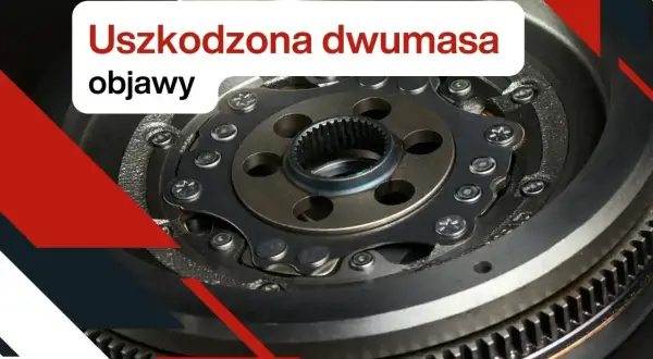 Zbliżenie na uszkodzoną dwumasę, widoczne objawy zużycia.