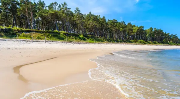 Piękna plaża z sosnowym lasem w tle, idealne miejsce na lubiatów nad morzem. Delikatne fale obmywają piaszczysty brzeg.