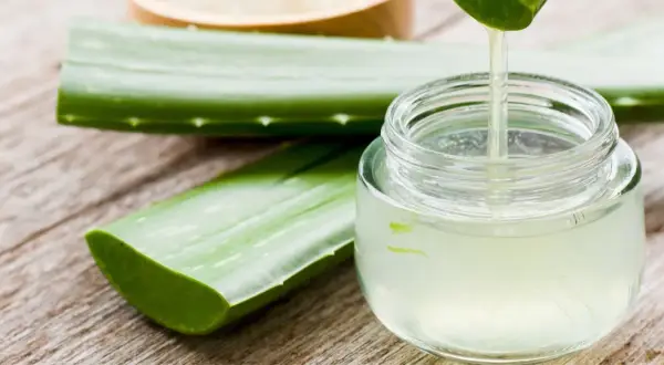 Frisches, reines Aloe Vera Gel tropft aus einem Blatt in ein Glasgefäß. Daneben liegen weitere Aloe Vera Blätter auf Holz.