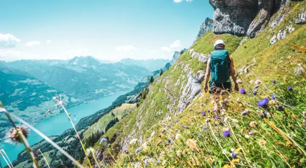 Vandra i Schweiz längs en bergssluttning med en turkos sjö nedanför. Blommor i förgrunden, en vandrare med ryggsäck på väg uppåt.