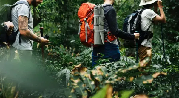 Drei thru hiker wandern durch einen dichten, grünen Dschungel. Einer hält eine Kamera, ein anderer schaut sich um.