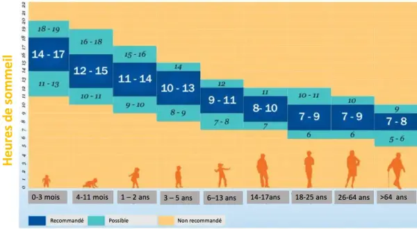 Graphique montrant le temps de sommeil par âge, des nourrissons aux seniors. Les heures recommandées varient de 18-19h pour les nouveau-nés à 7-8h pour les adultes.